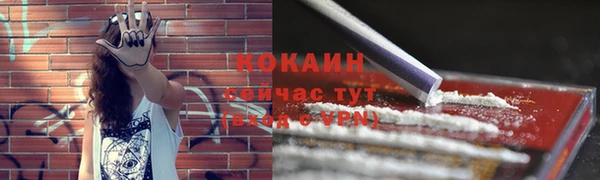 прущий лед Верея