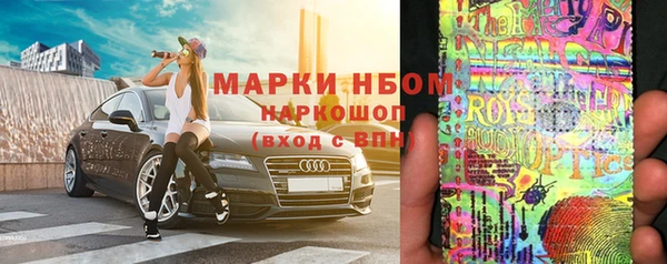 прущий лед Верея